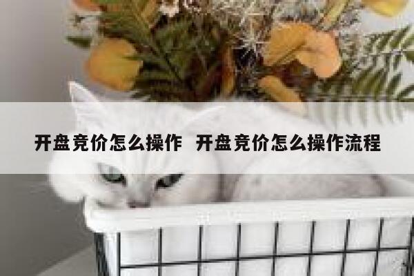 开盘竞价怎么操作  开盘竞价怎么操作流程