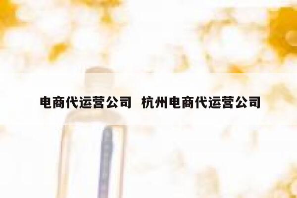 电商代运营公司  杭州电商代运营公司