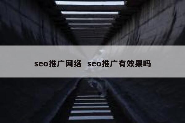 seo推广网络  seo推广有效果吗