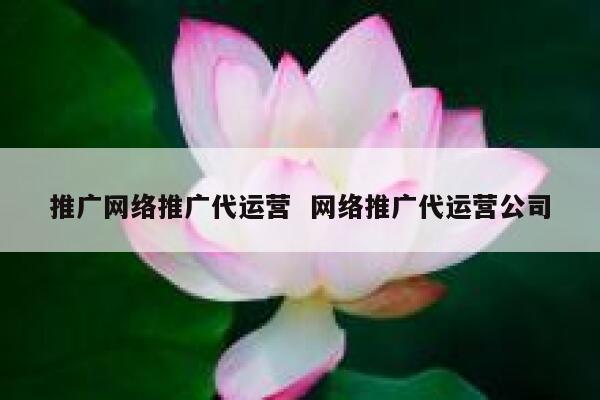 推广网络推广代运营  网络推广代运营公司