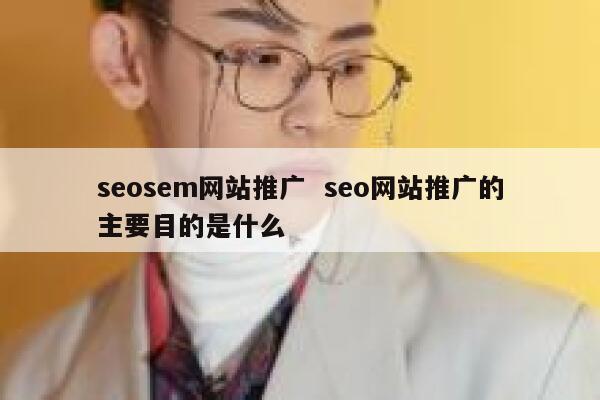 seosem网站推广  seo网站推广的主要目的是什么