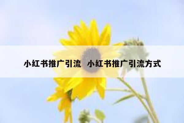 小红书推广引流  小红书推广引流方式