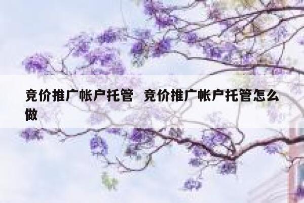 竞价推广帐户托管  竞价推广帐户托管怎么做