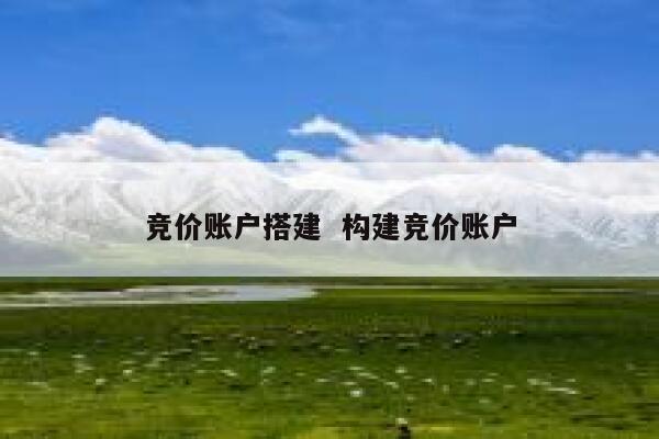 竞价账户搭建  构建竞价账户