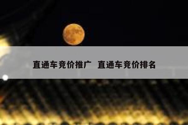 直通车竞价推广  直通车竞价排名