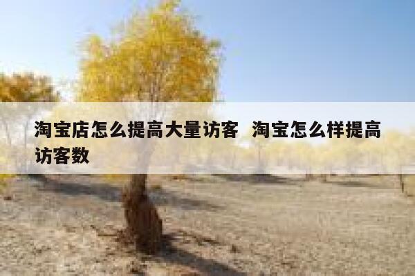 淘宝店怎么提高大量访客  淘宝怎么样提高访客数
