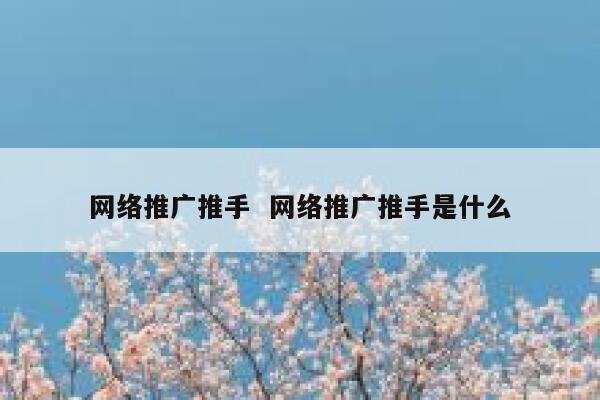 网络推广推手  网络推广推手是什么