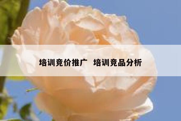 培训竞价推广  培训竞品分析