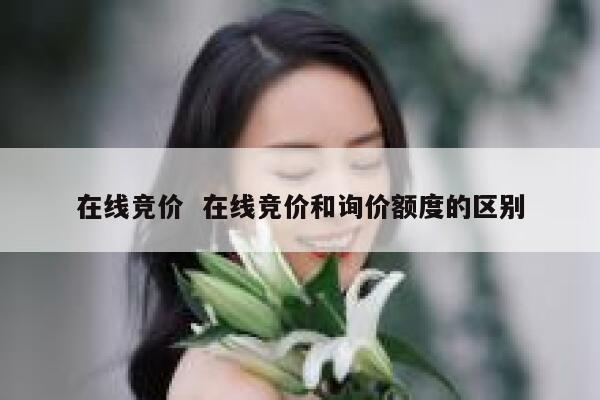 在线竞价  在线竞价和询价额度的区别