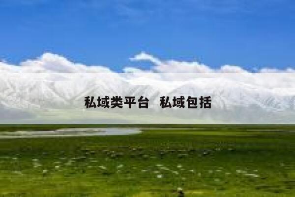 私域类平台  私域包括