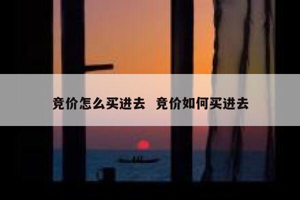 竞价怎么买进去 竞价如何买进去