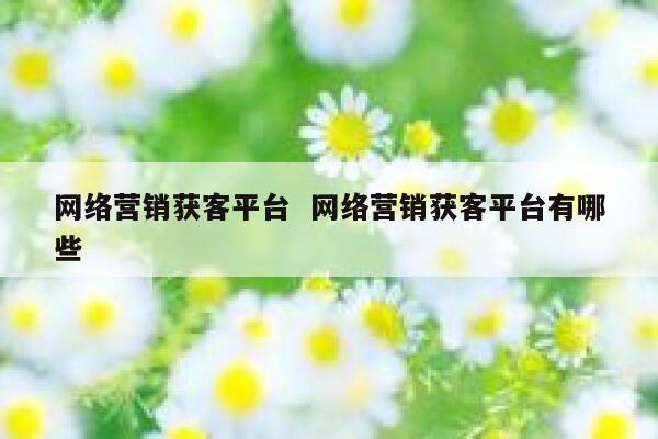 网络营销获客平台  网络营销获客平台有哪些