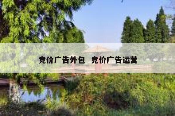 竞价广告外包  竞价广告运营