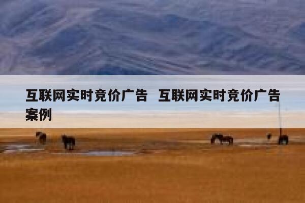 互联网实时竞价广告  互联网实时竞价广告案例