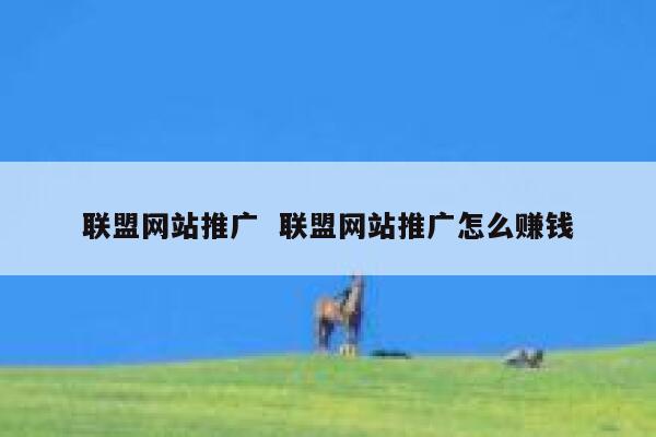 联盟网站推广  联盟网站推广怎么赚钱