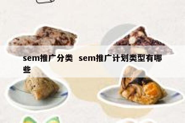 sem推广分类  sem推广计划类型有哪些