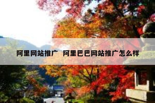 阿里网站推广  阿里巴巴网站推广怎么样