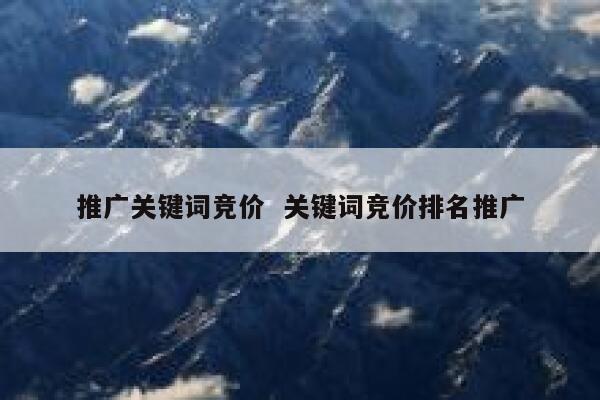 推广关键词竞价  关键词竞价排名推广