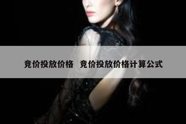 竞价投放价格  竞价投放价格计算公式