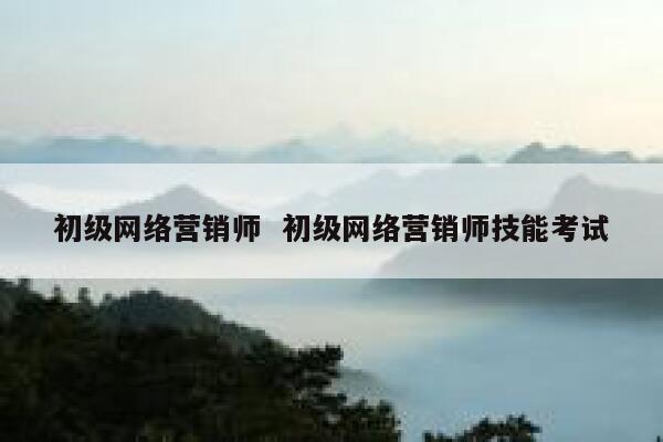 初级网络营销师  初级网络营销师技能考试