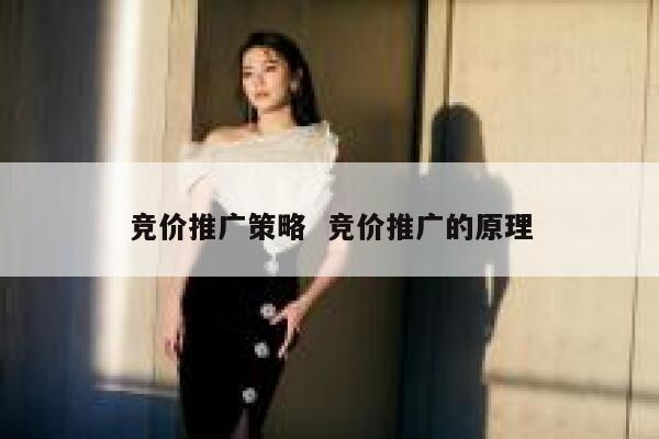 竞价推广策略  竞价推广的原理 第1张