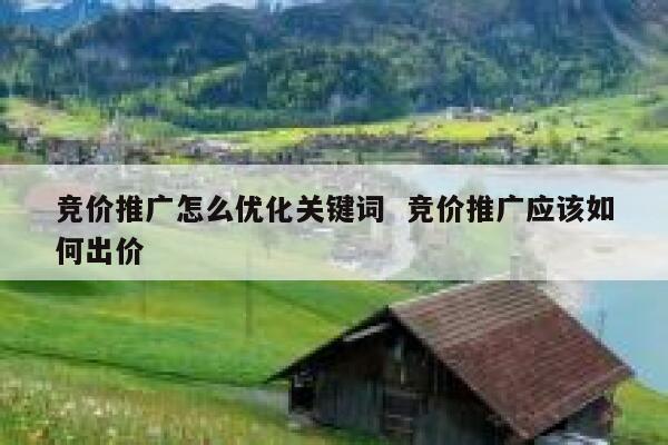 竞价推广怎么优化关键词  竞价推广应该如何出价 第1张