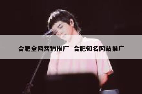 合肥全网营销推广  合肥知名网站推广
