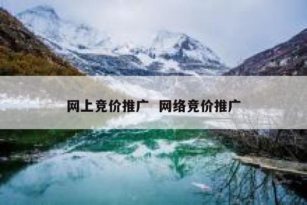 网上竞价推广  网络竞价推广 第1张