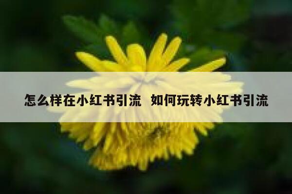 怎么样在小红书引流  如何玩转小红书引流