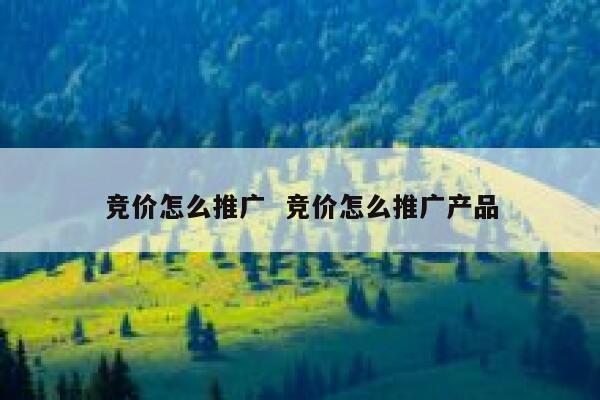 竞价怎么推广  竞价怎么推广产品