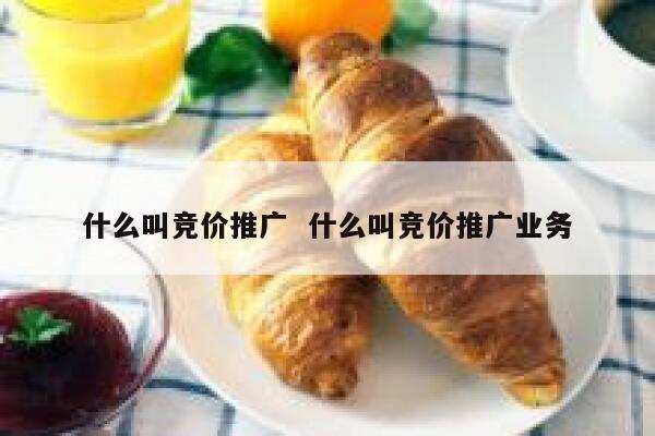 什么叫竞价推广  什么叫竞价推广业务