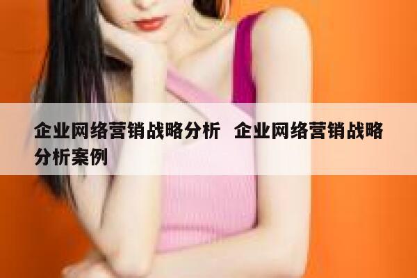 企业网络营销战略分析  企业网络营销战略分析案例