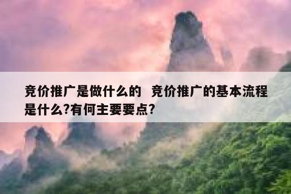 竞价推广是做什么的  竞价推广的基本流程是什么?有何主要要点?