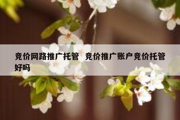 竞价网路推广托管  竞价推广账户竞价托管好吗