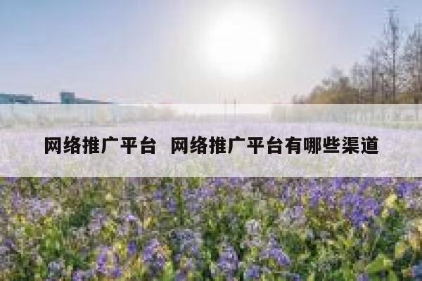 网络推广平台  网络推广平台有哪些渠道 第1张