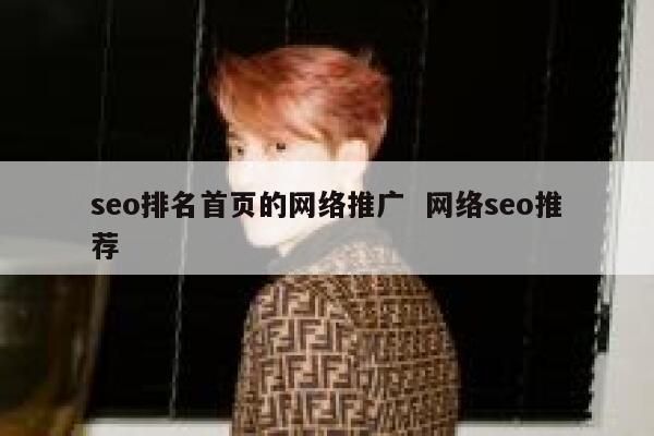 seo排名首页的网络推广  网络seo推荐