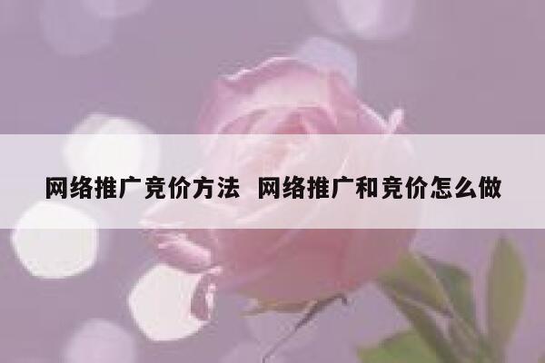 网络推广竞价方法  网络推广和竞价怎么做 第1张