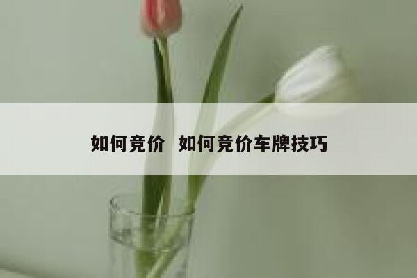 如何竞价  如何竞价车牌技巧