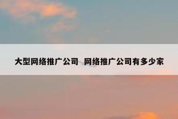 大型网络推广公司  网络推广公司有多少家
