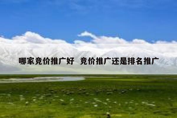 哪家竞价推广好  竞价推广还是排名推广