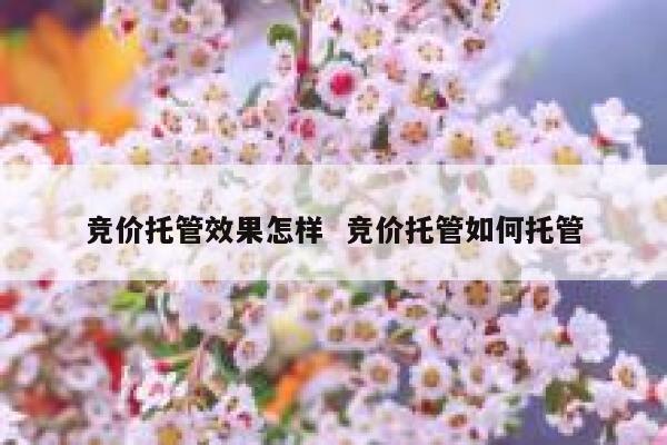 竞价托管效果怎样  竞价托管如何托管 第1张