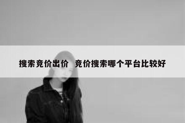 搜索竞价出价  竞价搜索哪个平台比较好
