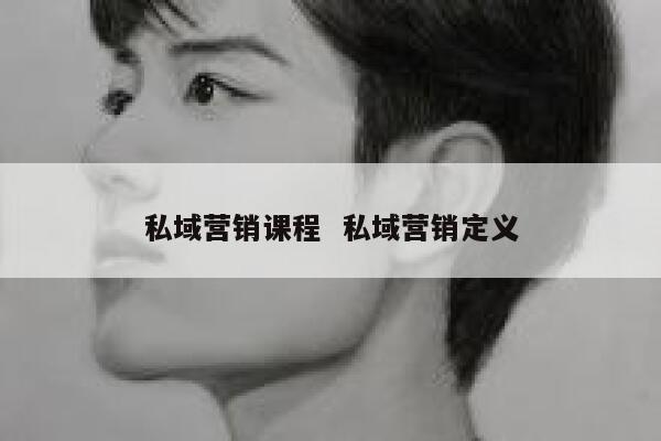 私域营销课程  私域营销定义