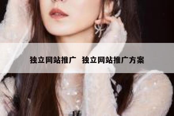 独立网站推广  独立网站推广方案
