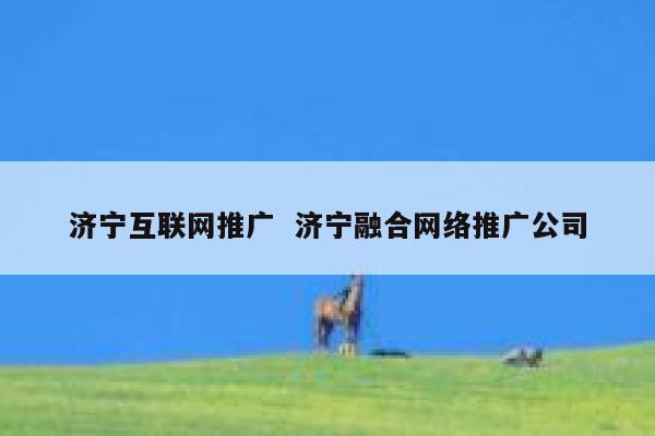 济宁互联网推广  济宁融合网络推广公司