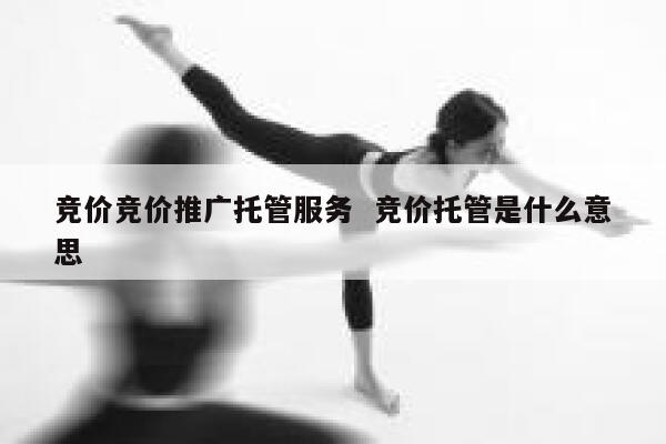 竞价竞价推广托管服务  竞价托管是什么意思 第1张