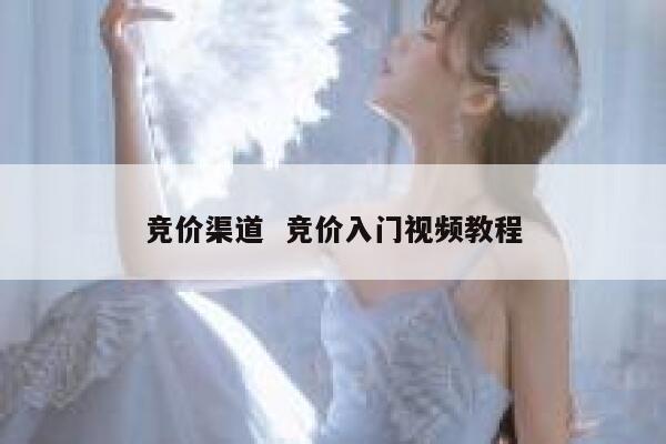 竞价渠道  竞价入门视频教程