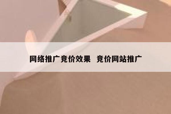 网络推广竞价效果  竞价网站推广