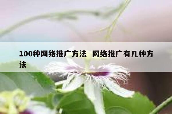 100种网络推广方法  网络推广有几种方法