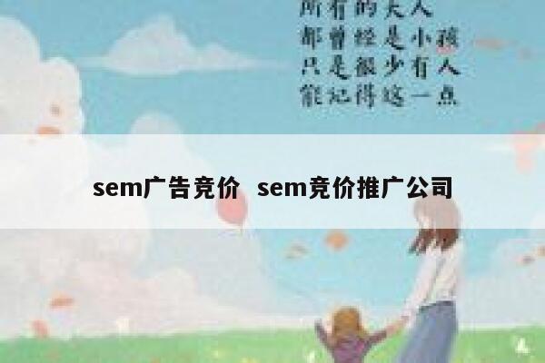 sem广告竞价  sem竞价推广公司